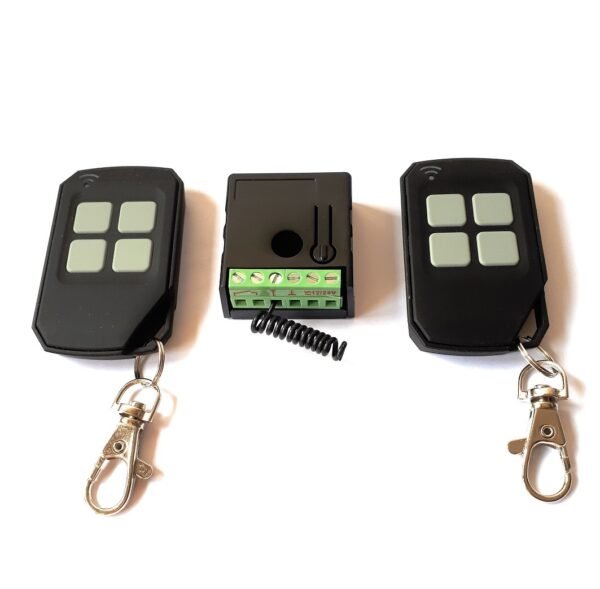 Kit receptor universal RX1 con 2 mandos TX20